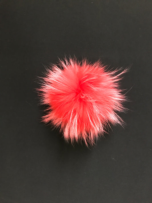 Pompon -10-
